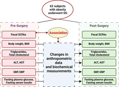 Fecal short chain fatty acids modify therapeutic effects of sleeve gastrectomy